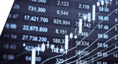 Bu hafta en fazla kazandıran yatırım fonu