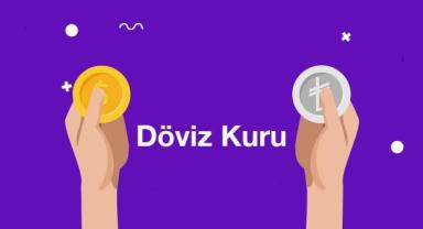 Döviz kurları