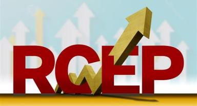 Endonezya'da RCEP ülkeleri arasına katıldı