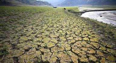 Lübnan'da kurak geçen kış mevsimi uzmanları endişelendirdi