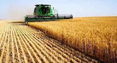 Tarım-ÜFE yüzde 151 arttı