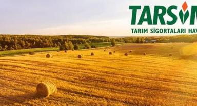 TARSİM, 1.400 TL prim ödeyen sigortalı yetiştiriciye 89 bin TL hasar ödemesi yapacak