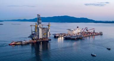 Enerji şirketi Santos, Avustralya'da yunus balıklarının ölümüne neden olmakla suçlanıyor