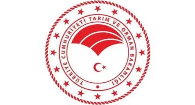 Hamsi avcılığı, Marmara Denizi ile boğazlarda yarından itibaren durdurulacak
