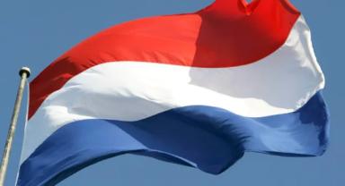 Hollanda'da, 2022'de sahte diploma ve sertifikalı sağlık çalışanı sayısı arttı