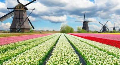Hollanda’da Tarım