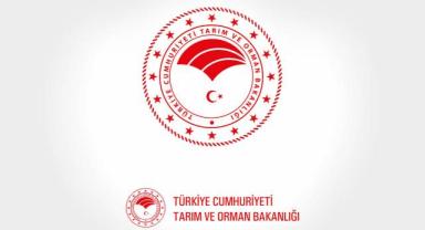 Korunan alanlara ziyarette rekor kırıldı