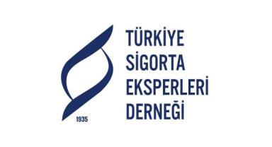Sigorta eksperleri hasar tespit çalışmaları için deprem bölgesinde
