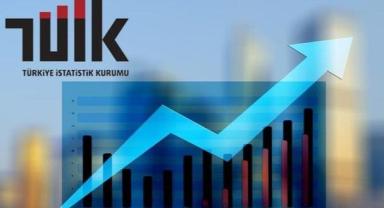 TÜİK, enflasyon sepetini güncelledi