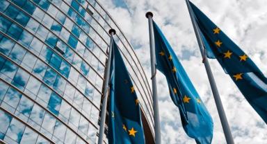 AB, kritik ham maddelerde dışa bağımlılığı azaltmaya çalışıyor