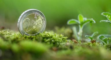 AB, yeşil tahvillere standart getirmeye hazırlanıyor