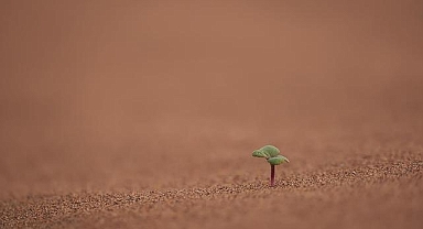 Bilim insanları, iklim aksiyonunun artırılması için fırsat penceresinin hızla kapandığı uyarısında bulundu