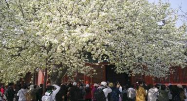 Çin’de turizm canlandı