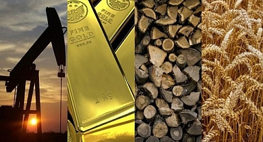 Emtia ve para piyasası