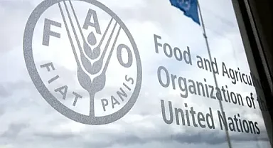 FAO Gıda Fiyat Endeksi şubatta düştü