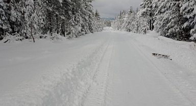 Kastamonu'da 52 köy yolu kar nedeniyle ulaşıma kapandı