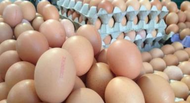 ORGANİK DİYE SATILAN YUMURTANIN ÇOĞU SAHTE