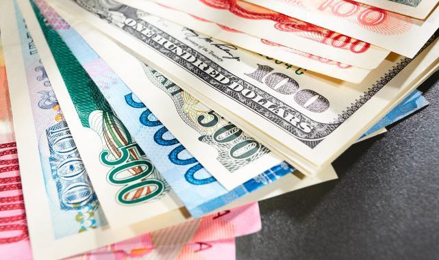 Serbest piyasada döviz açılış fiyatları
