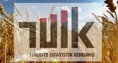 Tarımsal girdi fiyat endeksinde büyük artış