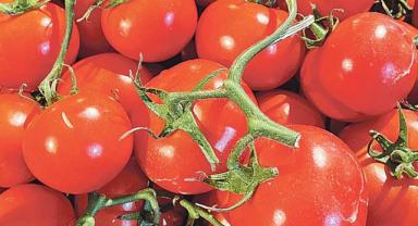 TİM Yaş Meyve ve Sebze Sektör Kurulu'ndan domates ihracatının kısıtlanmasına ilişkin açıklama