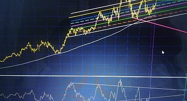 Uluslararası endeks raporu
