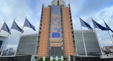 AB ülkeleri Ukrayna ile vergisiz ticareti sürdürecek