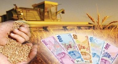 Çiftçilere yaklaşık 1,4 milyar liralık tarımsal destekleme ödemesi bugün yapılacak