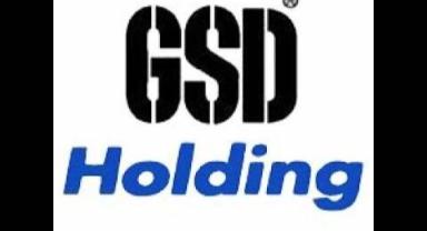 GSD Denizcilik'ten iştirak kararı