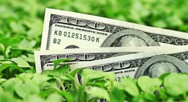 Hazine ve Maliye Bakanlığından dolar cinsinden yeşil tahvil ihracı için 3 finans kuruluşuna yetki