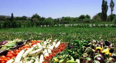 İSTİB Yönetim Kurulu Başkanı Kopuz: 