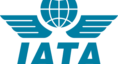 Küresel hava yolu yolcu trafiği şubatta arttı