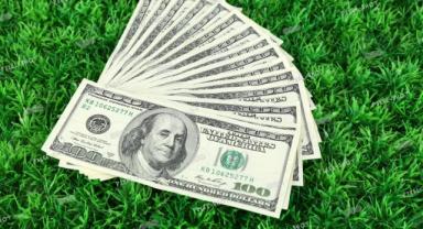 Serbest piyasada döviz açılış fiyatları