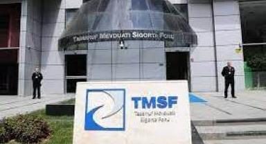 TMSF,