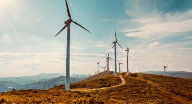 Türkiye’nin enerjisini rüzgarla yıllık 3 bin megavat artırabiliriz