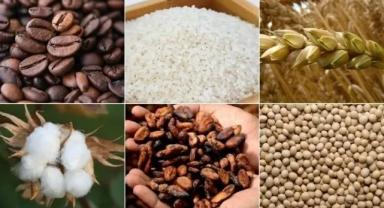 ABD'deki güçlü ekonomik aktivitenin dolara talebi artırması emtia piyasasını baskıladı