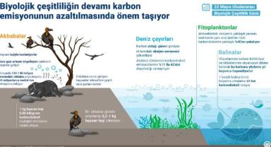 Biyolojik çeşitliliğin devamı karbon emisyonunun azaltılmasında önem taşıyor