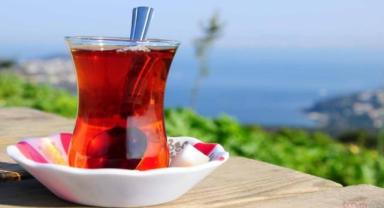 ÇAYKUR 3 günde 730 ton yaş çay aldı