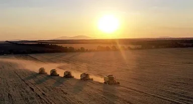 Hububat ve bakliyat ihracatı 4 ayda 3,8 milyar dolara ulaştı