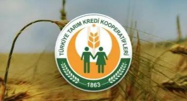 Tarım Kredi'den sabit fiyat açıklaması: