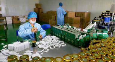 162 şirket, 5 ayda sınır bölgelerine 19 milyar yuanlık yatırım yaptı