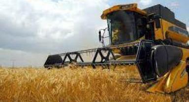 Almanya'da tarımda üretici fiyatları 2 yıl sonra ilk kez düştü