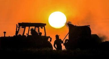 Bakan Yumaklı, çiftçilere bugün 124 milyon liralık destekleme ödemesi yapılacağını bildirdi