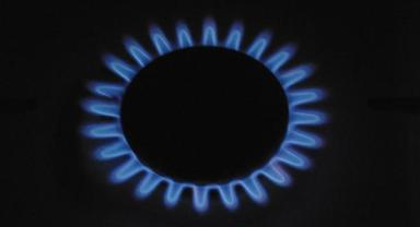 Borusan'ın da içinde yer aldığı ortaklık BOTAŞ ihalesini kazandı