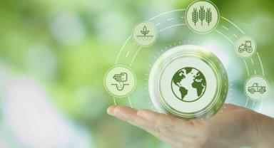 İş Bankası tarımda karbon ayak izi ölçümünü başlattı