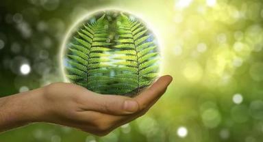 Küresel hidrojen üretiminin yüzde 94'ü 2050'de yenilenebilir enerji kaynaklarından elde edilecek