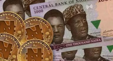 Nijerya'dan serbest kur hamlesi