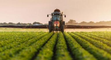 TMO'dan hububat alımlarına ilişkin açıklama: