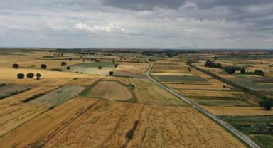 Trakya'da bahar yağmurları buğdayda rekolte beklentisini yükseltti