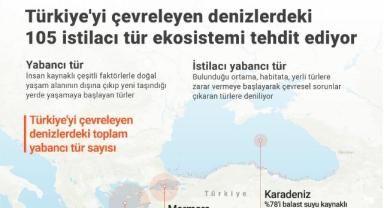 Türkiye'yi çevreleyen denizlerdeki 105 istilacı tür ekosistemi tehdit ediyor