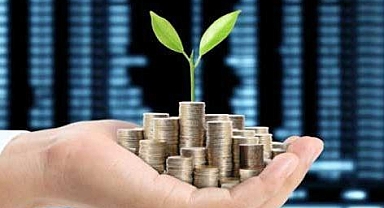 Yatırımcı rehberi (3)